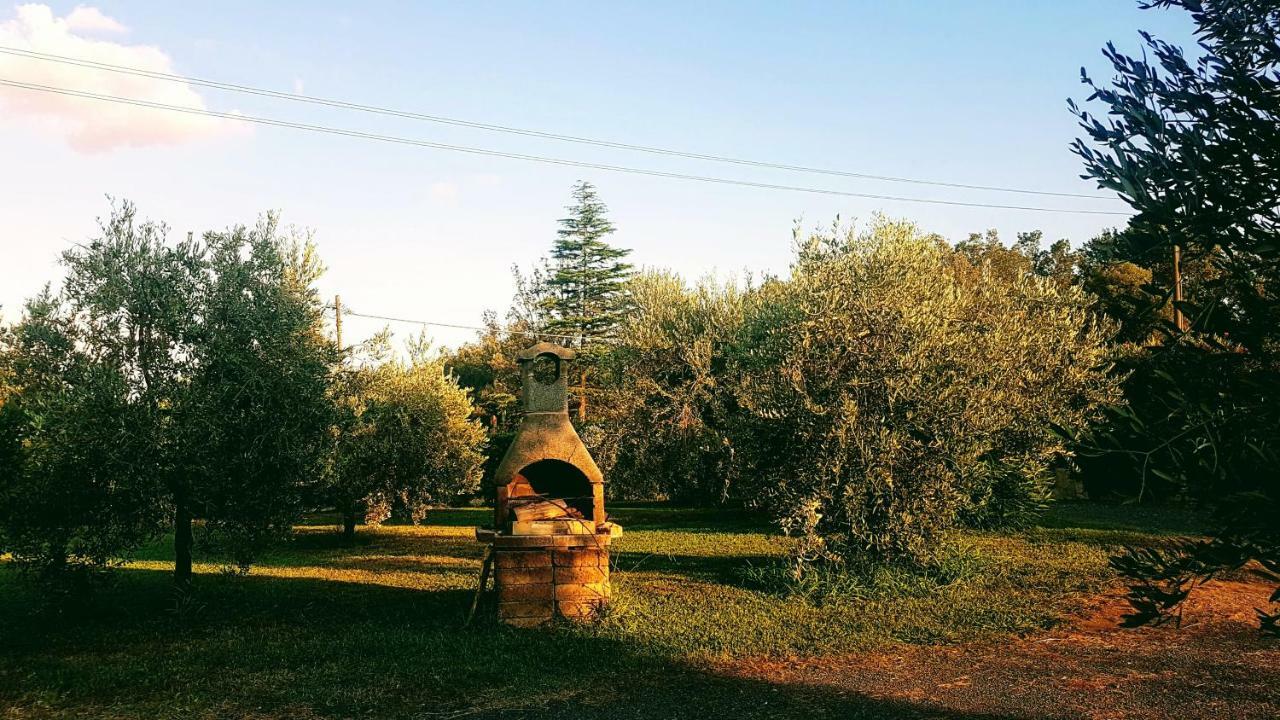Agriturismo Casa Andreina Castiglione della Pescaia Extérieur photo